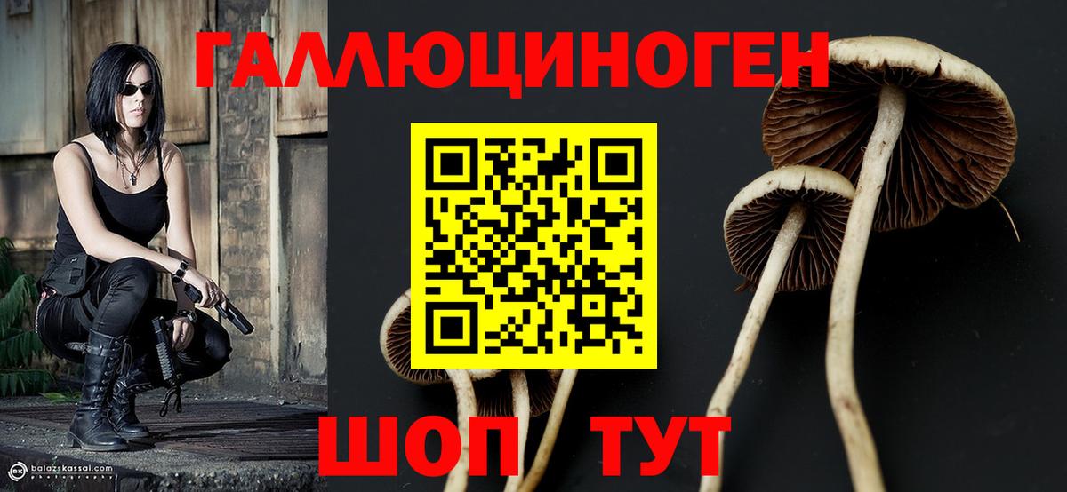 Полевской  Псилоцибиновые грибы Psilocybe  где купить наркотик  Вход с VPN  Псилоцибиновые грибы Psilocybe 
